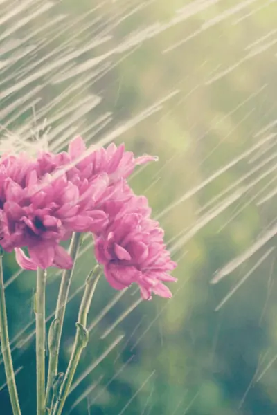 April Prayer Journal Prompts